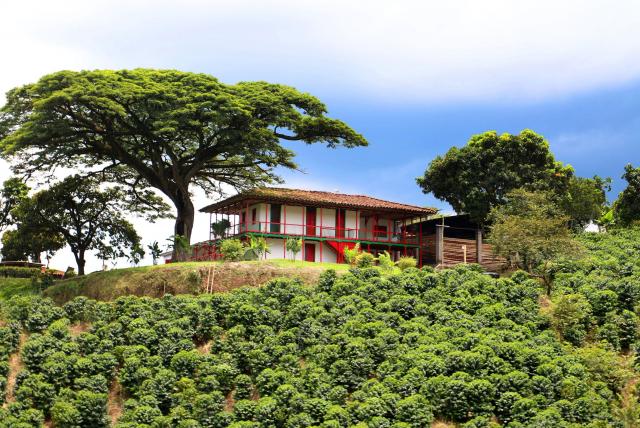 paisaje cultural cafetero