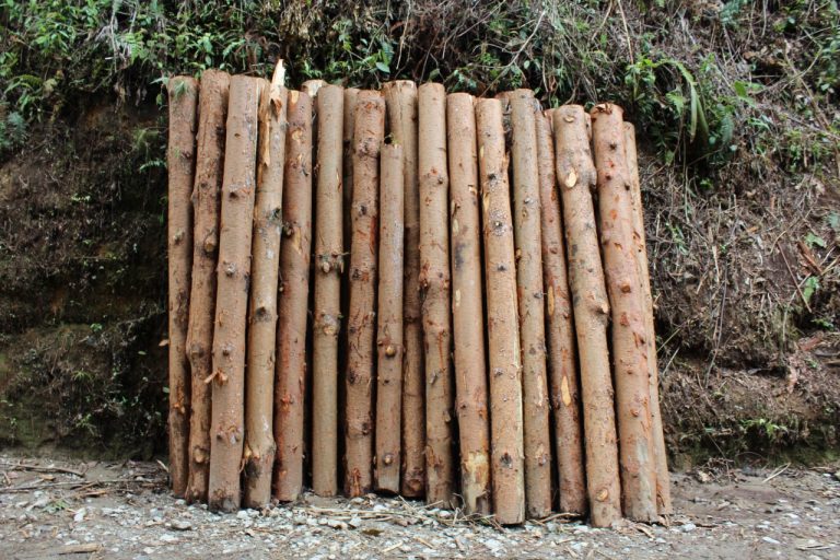 Copocaldas
